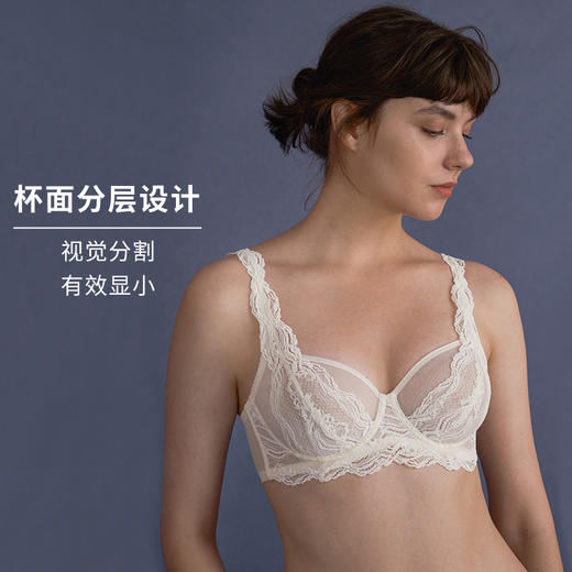HSIA遐大胸显小文胸长三角全罩杯上托胸罩云卷云舒性感蕾丝内衣女 商品图3