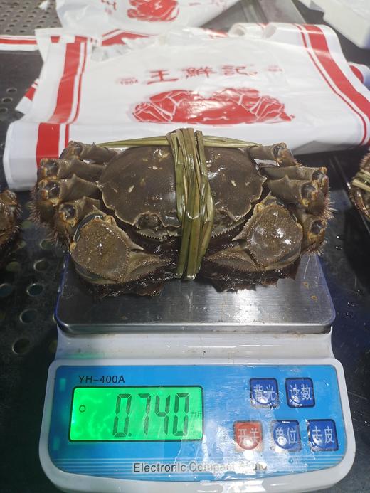 【拍卖级别蟹王6-7两公】一大口大闸蟹养殖基地专供 商品图0