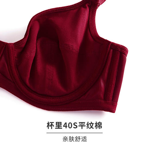 HSIA遐大胸显小内衣女珠光丝绒normcore全罩杯复古有钢圈上托文胸 商品图5