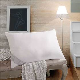 水星家纺 DH沁新净醛抗菌枕-115310