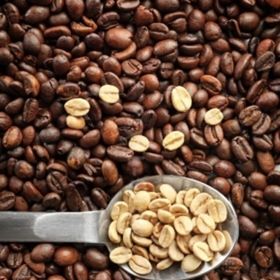 日签｜生咖啡豆的成分之多糖类