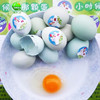 乌鸡蛋30枚装（全国包邮） 商品缩略图5