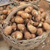 云南农家小芋头  新鲜采挖  软糯鲜香  健康粗粮   饱腹感很强  包邮发货 商品缩略图5