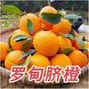 （鲜甜多汁）贵州罗甸脐橙5斤/10斤 商品缩略图0