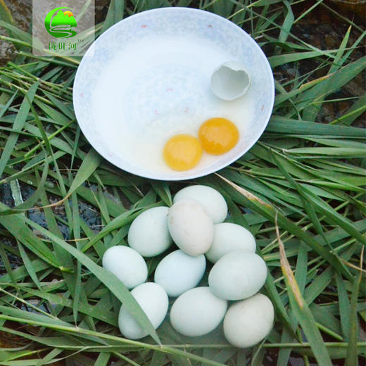 乌鸡蛋30枚装（全国包邮） 商品图4