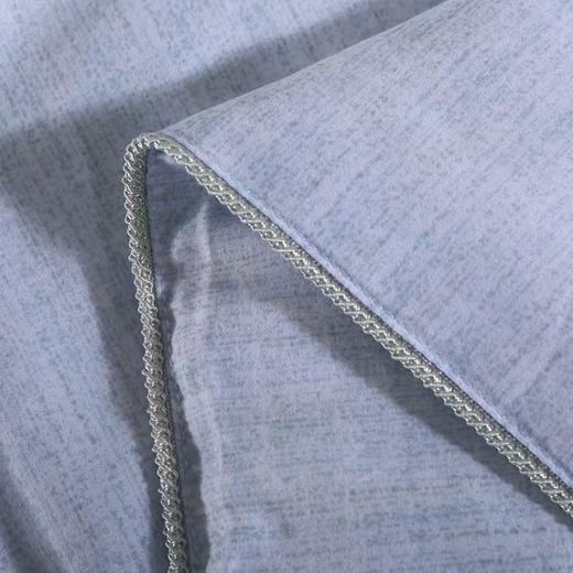 水星家纺 DH莘德拉蚕丝被-114345 商品图4