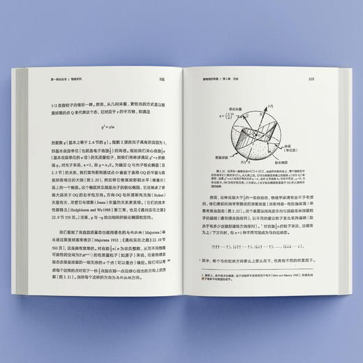 《第一推动丛书·物理系列：新物理狂想曲》 商品图2