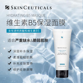 SKINCEUTICALS修丽可 维生素B5保湿面膜