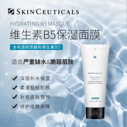 SKINCEUTICALS修丽可 维生素B5保湿面膜 商品图0