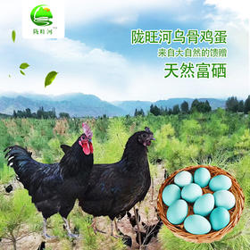 乌鸡蛋30枚装（全国包邮）