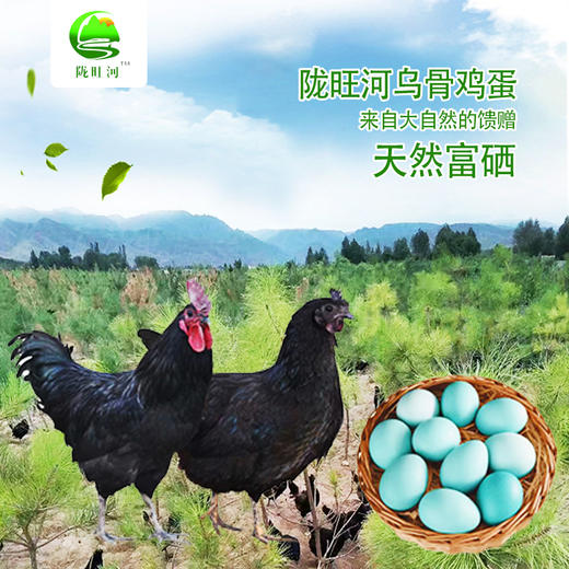 乌鸡蛋30枚装（全国包邮） 商品图0