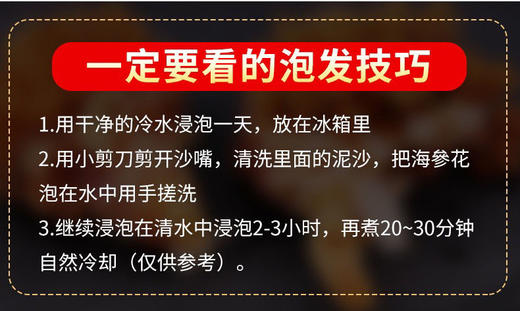 Ocean Feast加拿大野生海参花227g滋补炖汤食材（一般贸易） 商品图7