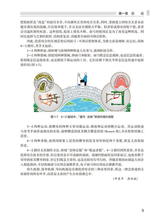 牙体形态与功能 第2版 高职高专创新教材 供口腔医学技术专业用 牙体形态功能 口腔书籍 牛东平 主编 9787117319386人民卫生出版社 商品图4