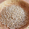 白扁豆 老品种有黑边黑点 药食同用除湿热 可煮粥炖汤炒食 商品缩略图2