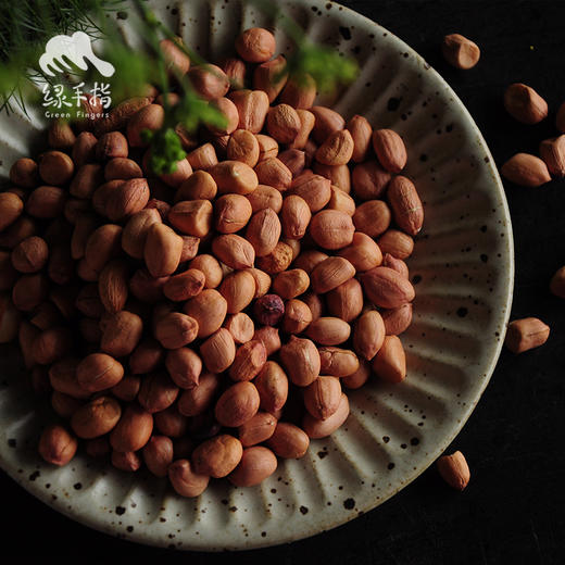 生态花生 | 合作生产 * Ecological peanuts| Coproduction 商品图1