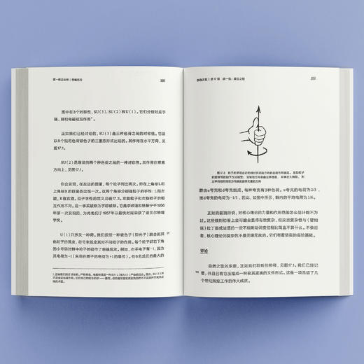 《第一推动丛书·物理系列：存在之轻》 商品图2