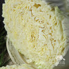 生态翠玉大白菜 | 合作生产* Ecological emerald Chinese cabbage  | Coproduction 商品缩略图4