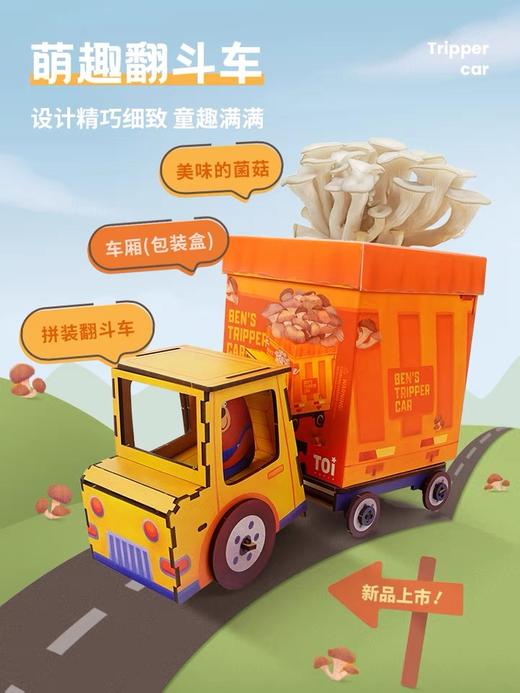 TOI图益3D立体种植植物 商品图2