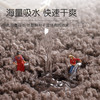 大江茸绒地垫熔岩灰50*60纯色高毛加厚家用卧室门口浴室防滑垫吸水地毯 商品缩略图3