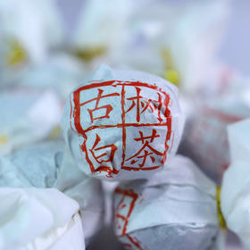 古树白茶龙珠