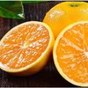 （鲜甜多汁）贵州罗甸脐橙5斤/10斤 商品缩略图2