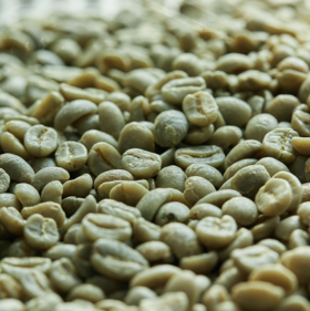 日签｜生咖啡豆的构成成分