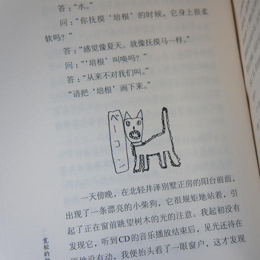 宽松的纽带 大江健三郎人生成长散文系列 3000746 商品图4