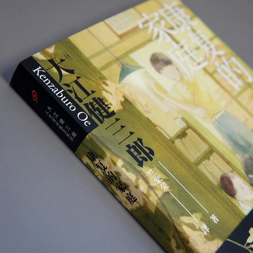 康复的家庭 大江健三郎人生成长散文系列 3000745 商品图2