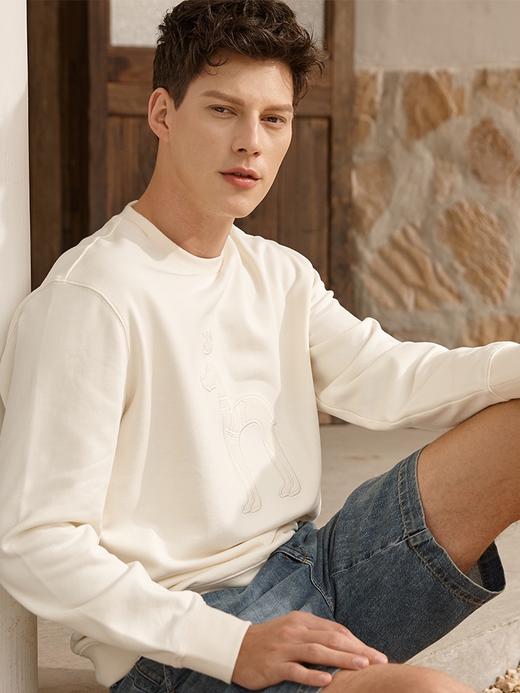 男圆领卫衣8868 商品图3