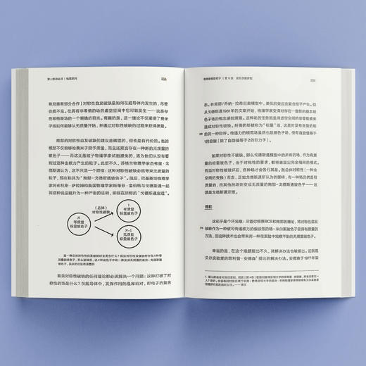 《第一推动丛书·物理系列：寻找希格斯粒子》 商品图2