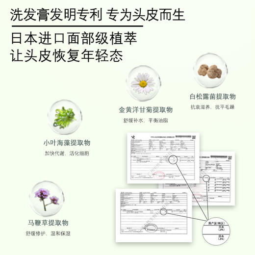 柏物烟酰胺沐浴露/柏物益生元洗发水/柏物海盐洗头膏 烟酰胺沐浴露以油养肤6重植萃祛痘 益生元洗发水 隐形发缝氨基酸丰盈去油去头屑  海盐洗头膏 富含烟酰胺清洁头皮去油滋养丰盈洗护 商品图10