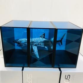 空山基鲨鱼书档