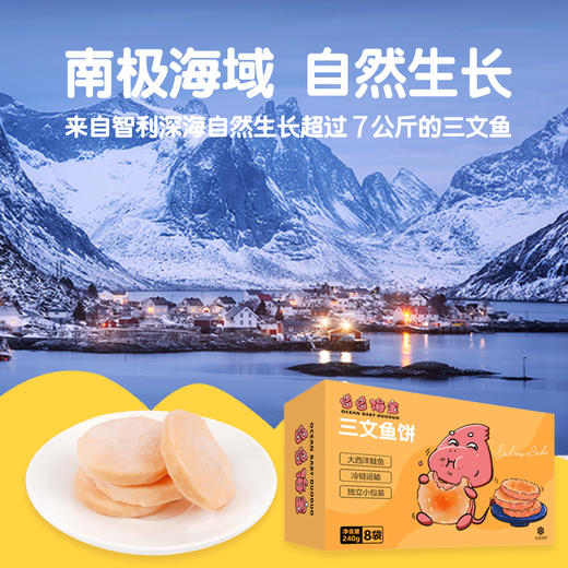 三文鱼薄饼30g*2枚/袋*4袋 商品图1