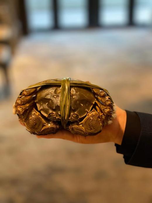 【拍卖级别蟹王6-7两公】一大口大闸蟹养殖基地专供 商品图2