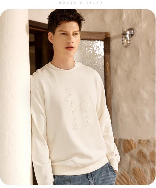 男圆领卫衣8868 商品图4