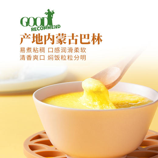 内蒙古 大金苗小米 0.9kg/袋*3袋 商品图3