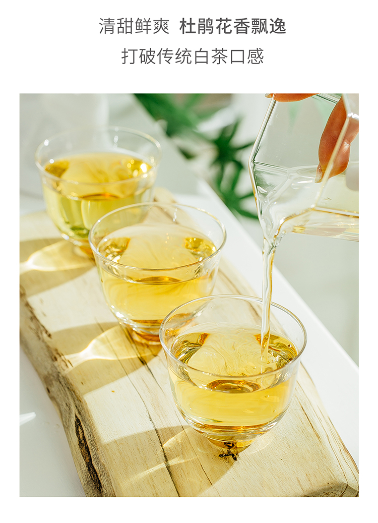 淳时新派茶特等金奖古树白茶150克