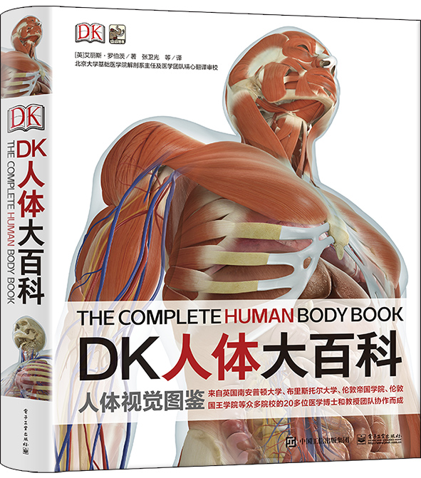 DK人体大百科