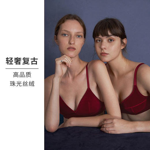 HSIA遐大胸显小内衣女珠光丝绒normcore全罩杯复古有钢圈上托文胸 商品图3