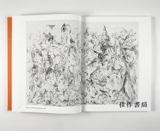 Bernard Schultze: A Bright Wisp  a Glistening Wind 伯恩哈德·舒尔茨 商品图5