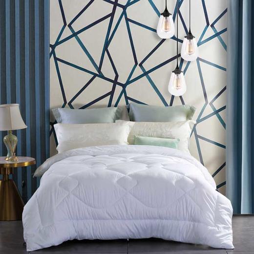 水星家纺 DH杜桑羽丝绒被-117765 商品图0