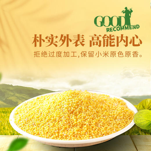 内蒙古 大金苗小米 0.9kg/袋*3袋 商品图1