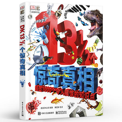 DK13 1/2个惊奇真相 商品图0