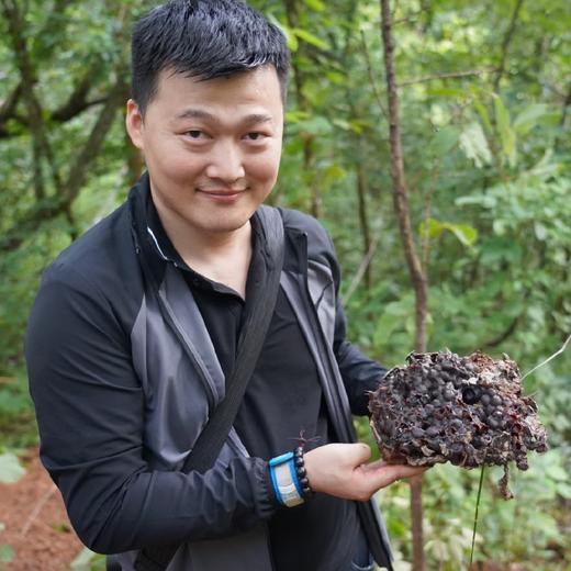 原始森林10年左右老巢 酸蜜 350g/瓶（排单发货，不接受退单） 商品图1