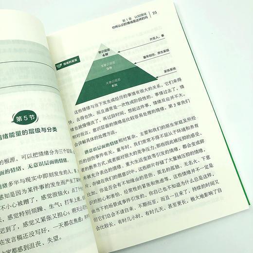 掌控情绪 别让坏脾气毁了你一生 商品图6