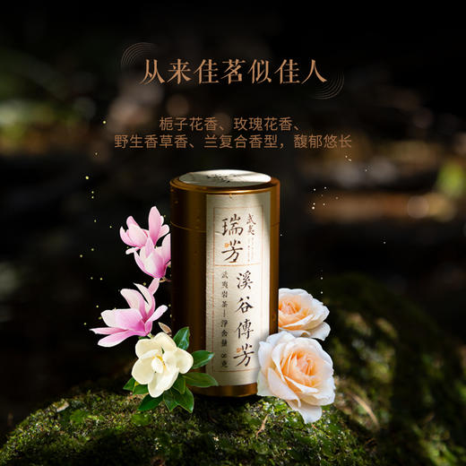 溪谷传芳·产自武夷正岩核心区大红袍64g礼盒装 商品图3