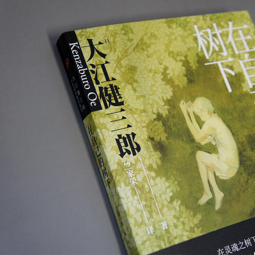在自己的树下 大江健三郎人生成长散文系列 3000747 商品图2