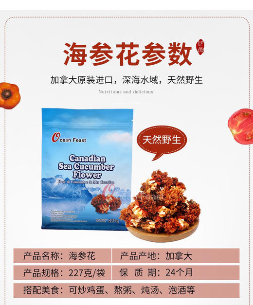 Ocean Feast加拿大野生海参花227g滋补炖汤食材（一般贸易） 商品图1