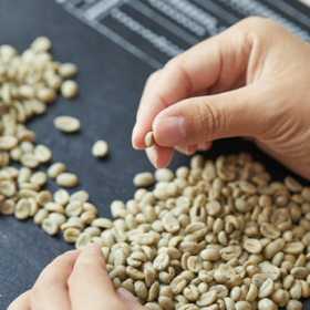 日签｜生咖啡豆的成分之蛋白质