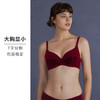 HSIA遐大胸显小内衣女珠光丝绒normcore全罩杯复古有钢圈上托文胸 商品缩略图4